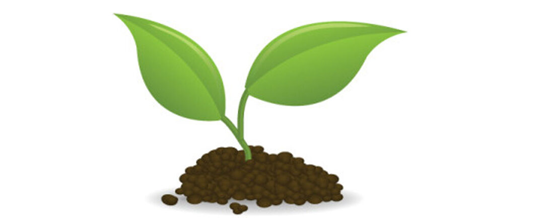 Did You Know That Our Spray Foam Is Bio Based?