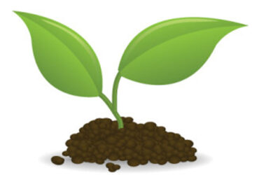 Did You Know That Our Spray Foam Is Bio Based?