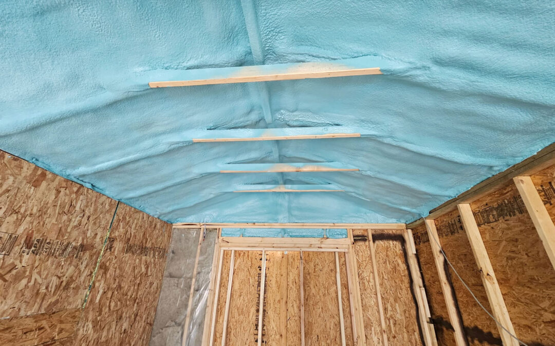 She Shed Spray Foam Insulation
